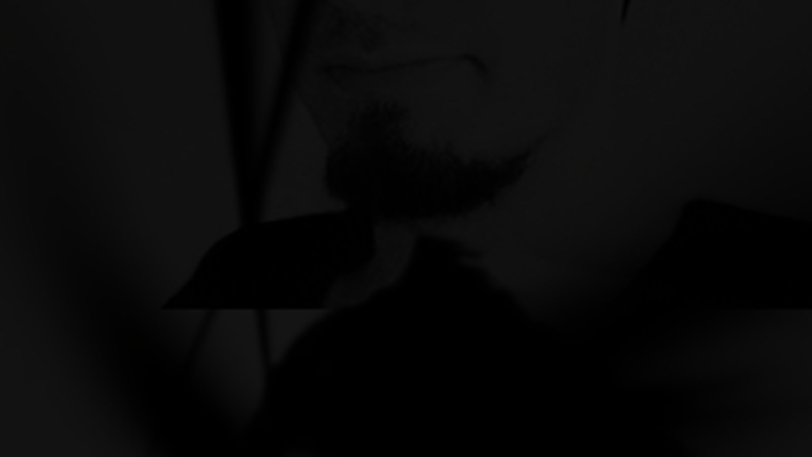 star-finder.de